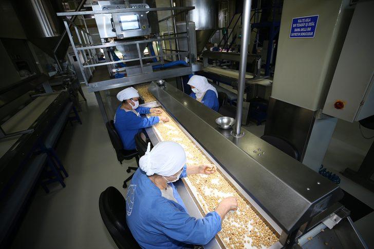 Fındık ihracatçısı yeni sezondan umutlu G4