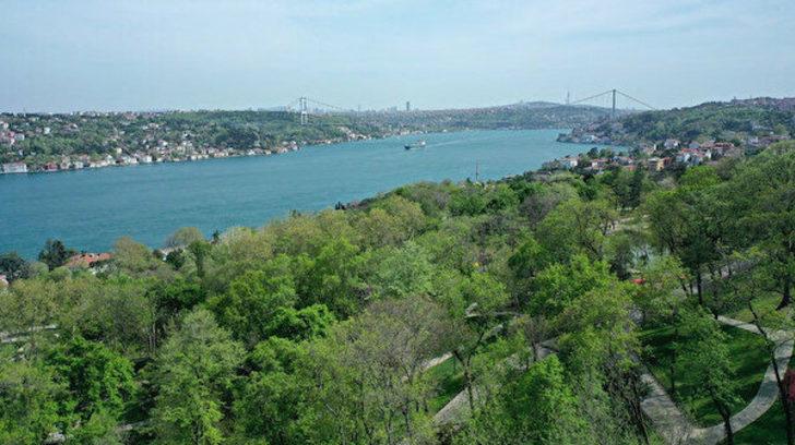 İstanbul'da piknik yasağı uzadı mı? İstanbul'da piknik yasak mı, yasak ne zaman bitecek? G3