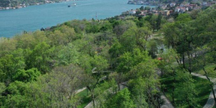 İstanbul'da piknik yasağı uzadı mı? İstanbul'da piknik yasak mı, yasak ne zaman bitecek? G4