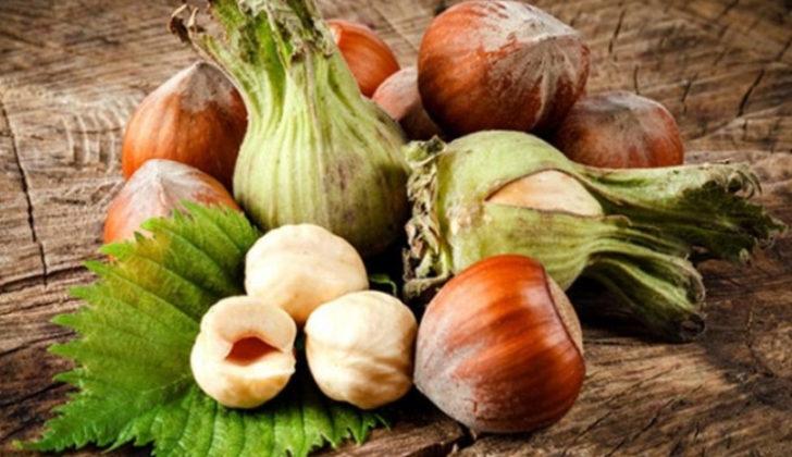 Findik Ucretleri Ne Zaman Odenecek Tmo Findik Alimina Basladi Mi Finans Haberlerinin Dogru Adresi Mynet Finans Haber