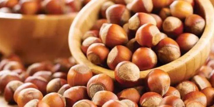 Fındık ücretleri ne zaman ödenecek? TMO fındık alımına başladı mı? G5