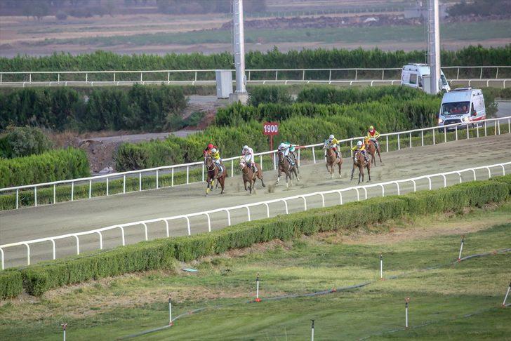 Diyarbakır Hipodromu'nda gece yarışları başladı G1
