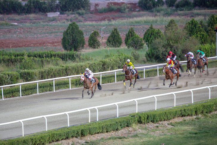 Diyarbakır Hipodromu'nda gece yarışları başladı G2