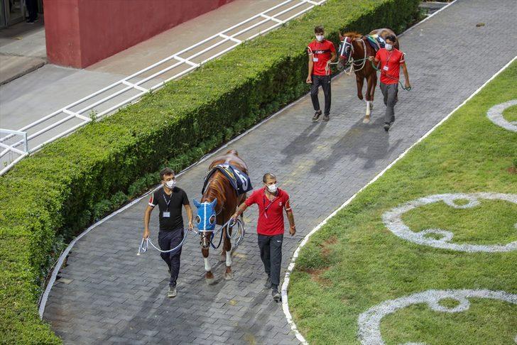 Diyarbakır Hipodromu'nda gece yarışları başladı G4