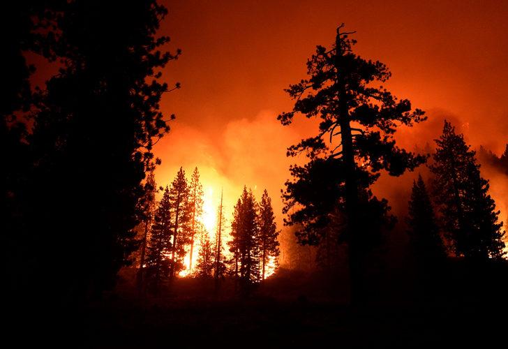 ABD'de "Caldor" yangını! California ve Nevada'da acil durum ilan edildi G1