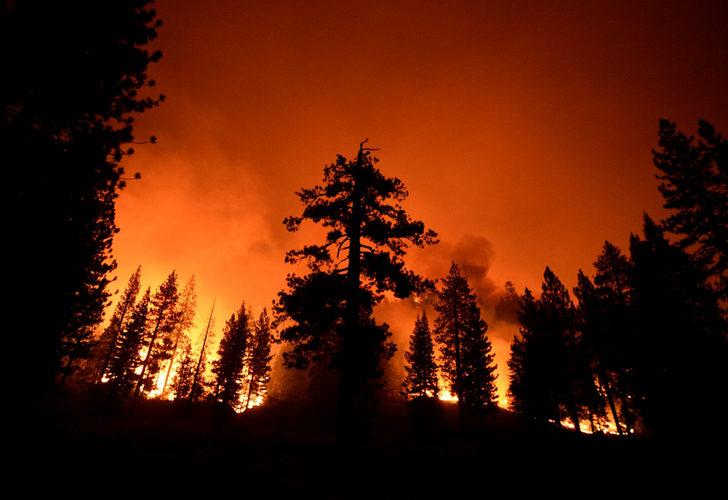 ABD'de "Caldor" yangını! California ve Nevada'da acil durum ilan edildi G2