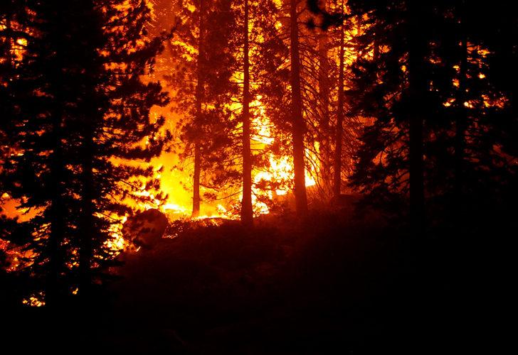 ABD'de "Caldor" yangını! California ve Nevada'da acil durum ilan edildi G5