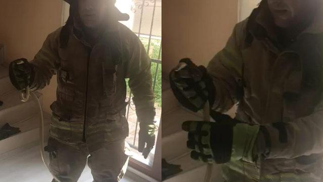 Avcılar'da yılan paniği! Eve giren yılanı itfaiye eri yakaladı