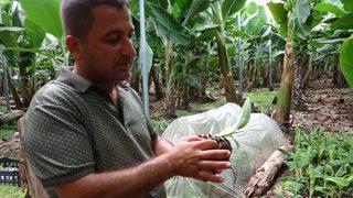 Bölgenin akıllısı sen misin, burada yetişmez dediler, öğretmenliği bıraktı örnek çiftçi oldu