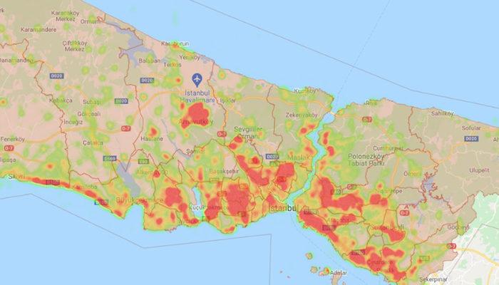 İstanbul'da sivrisinek 