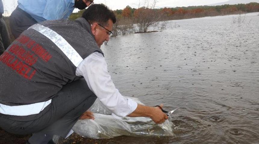 Kırklareli'nde 23 g&ouml;lete 164 bin 459 balık yavrusu bırakıldı