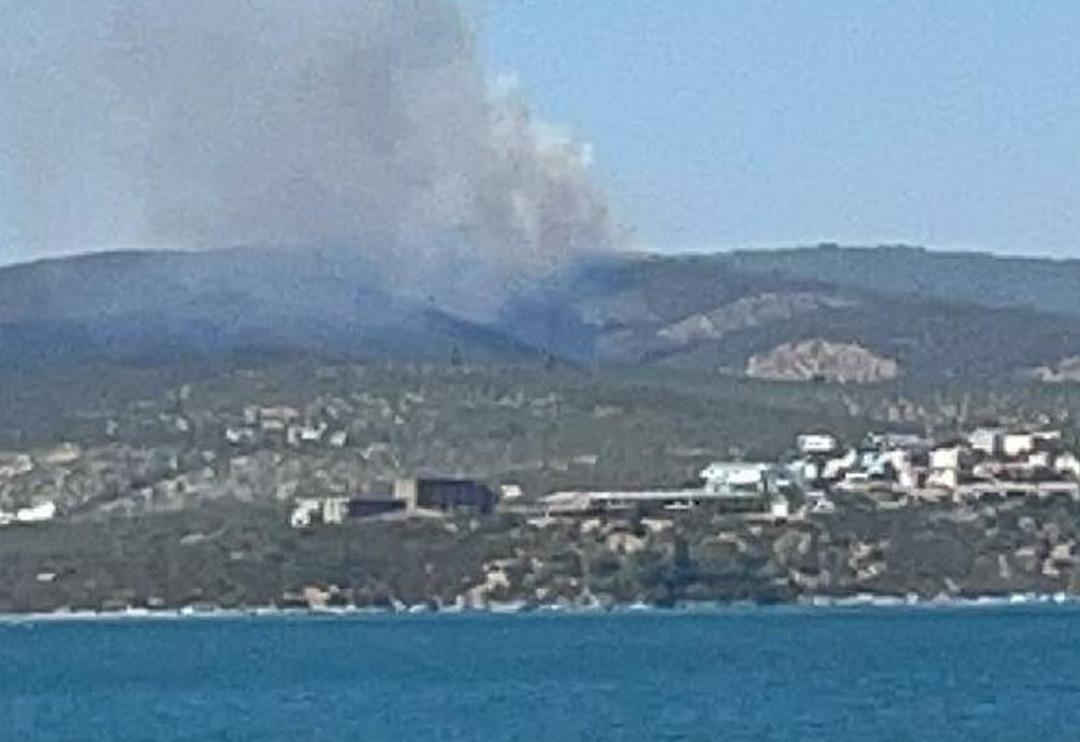 Son Dakika: Bodrum ve Milas'ta orman yangını