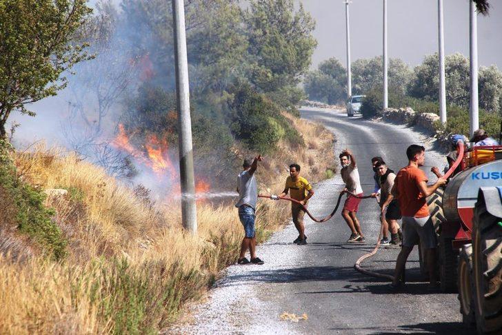 Son Dakika: Bodrum ve Milas'ta orman yangını G1