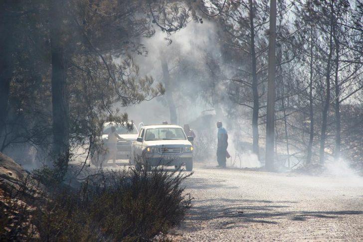 Son Dakika: Bodrum ve Milas'ta orman yangını G2