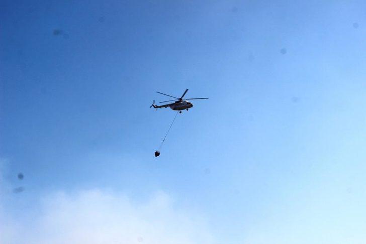 Son Dakika: Bodrum ve Milas'ta orman yangını G3