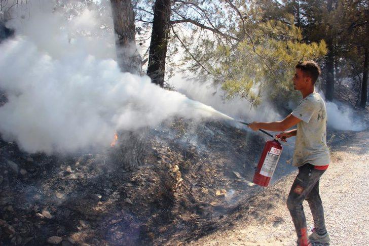 Son Dakika: Bodrum ve Milas'ta orman yangını G5