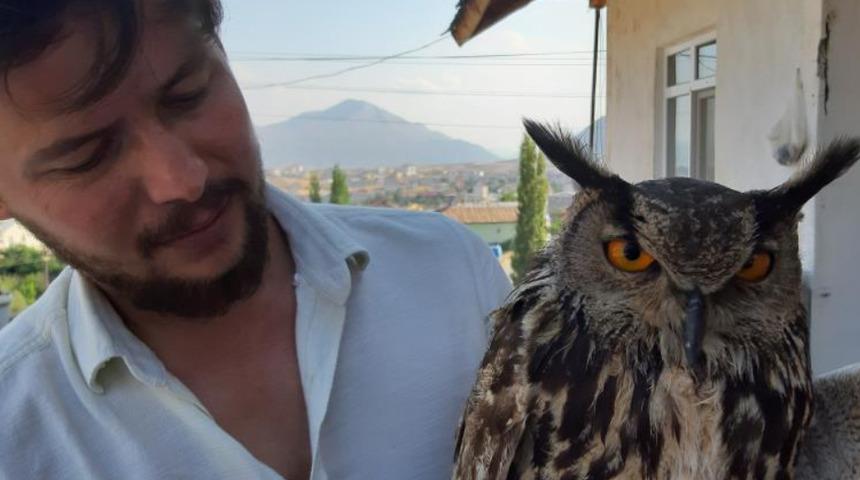Bitkin halde bulduğu Puhu kuşunu evine getirip etle besledi: Adını Barbara koydum