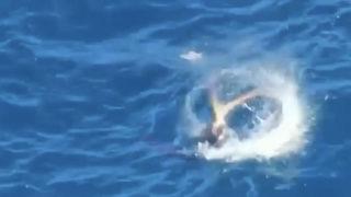 Şaşkınlıkla izledi! Akdeniz fokunun ahtapot avı saniye saniye görüntülendi 