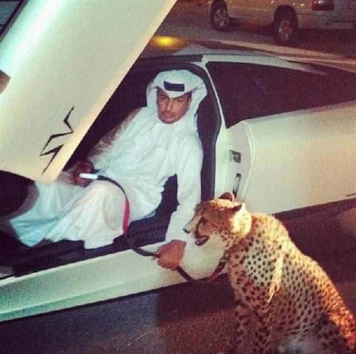 Arap milyonerlerin bu fotoğrafları olay oldu G1