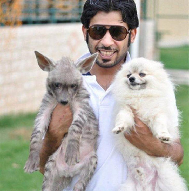 Arap milyonerlerin bu fotoğrafları olay oldu G4