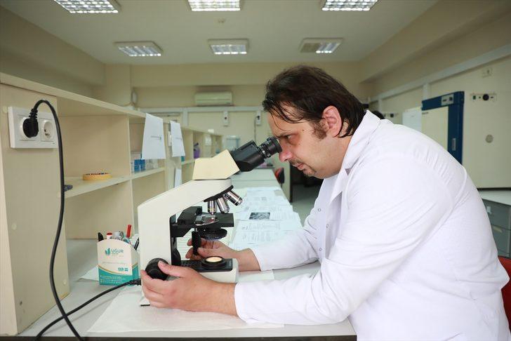 RTEÜ'de beyaz çay içerikli yanık kremi ve sargı bezi üretildi