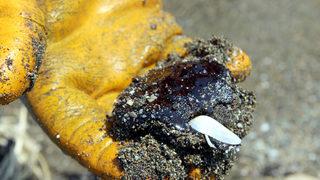 Suriye'deki petrol sızıntısı Samandağ'a ulaştı! Vali Doğan'dan açıklama