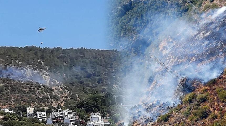 Muğla Bodrum'da makilik alanda yangın