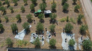 Tıp fakültesini bıraktı, bu işe girdi! Geliri 4 kat arttı