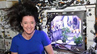 NASA astronotu duyurdu! Biber fideleri uzayda çiçek açtı