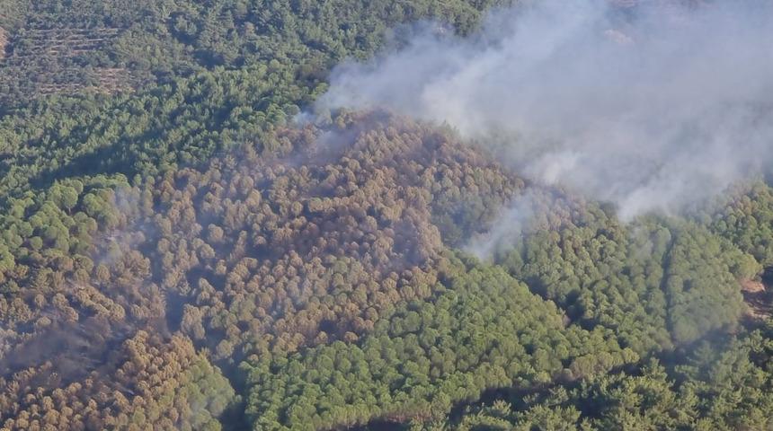 Balıkesir’de orman yangını