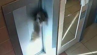 Yürekleri ağza getiren anlar! Bir anlık dikkatsizlik köpeği canından ediyordu