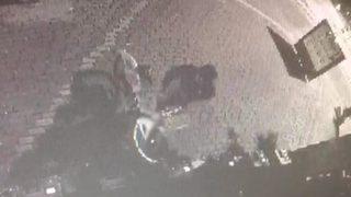 Pes dedirten hırsızlık! Belediye paylaştı: Söyleyecek söz bulamadık