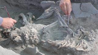 Eskişehir'de milattan önce 3 bin yılına uzanan mezar alanı bulundu: 40 yaşlarına kadar yaşayabilmişler