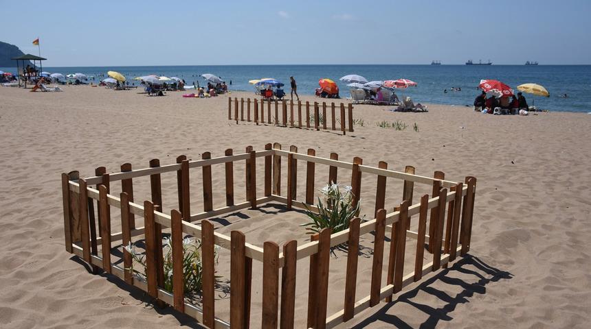 Kum zambakları böyle korunuyor! Etrafı çitlerle çevrildi, uyarı levhaları asıldı