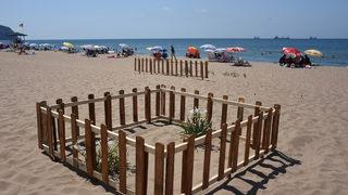 Kum zambakları böyle korunuyor! Etrafı çitlerle çevrildi, uyarı levhaları asıldı