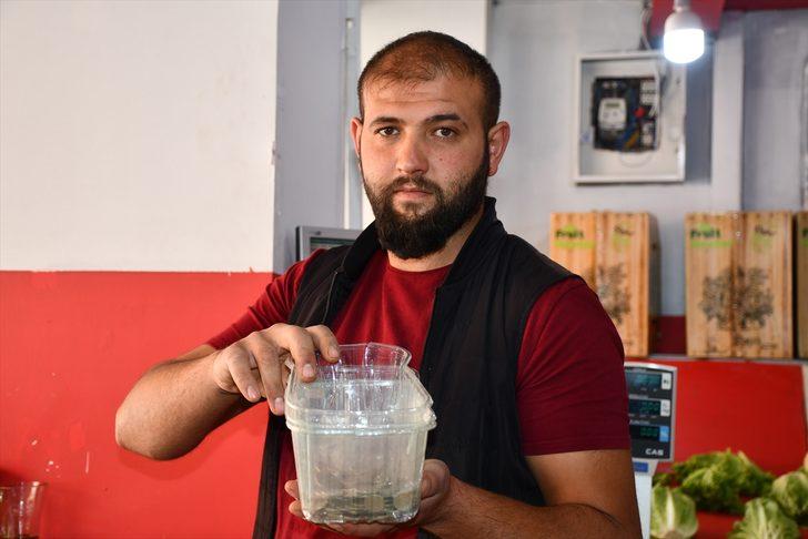 Sivas'ta manavdan hırsızlık anı güvenlik kamerasına yansıdı G1