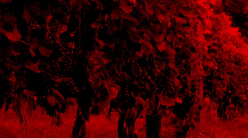 Mardin&rsquo;de vahşet! Eşini &uuml;z&uuml;m bağına g&ouml;t&uuml;r&uuml;p &ouml;ld&uuml;rd&uuml;