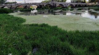 Kuraklık alarmı! Tunca Nehri adeta kumsala döndü