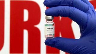 Yerli aşı TURKOVAC’tan güzel haber! Aşılanan 36 kişide yan etki görülmedi