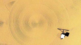 Türkiye'nin vazgeçilmezi! 2 gün nemsiz olarak güneşte kurutuluyor