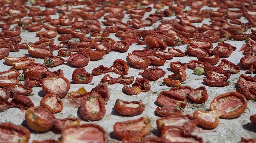 Konya’da güneşte kurutulan domateslerin İtalya yolculuğu! İtalyan spagettisinin sosu kurutulmuş Türk domatesinden