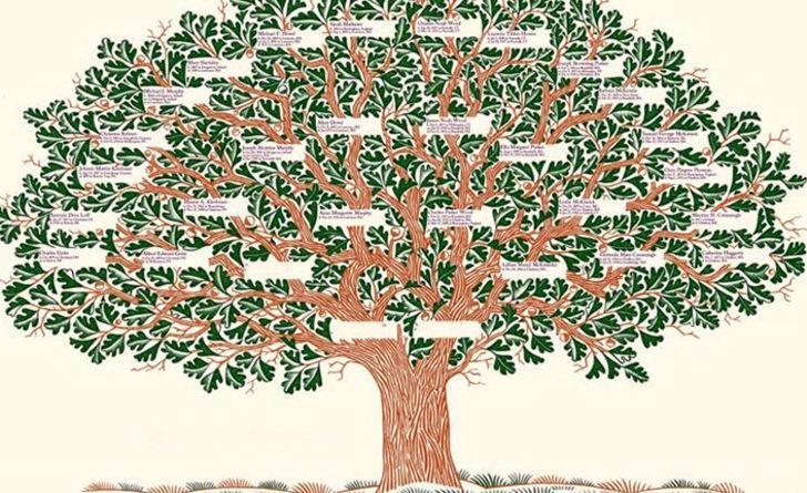 Soy ağacı nasıl oluşturulur? Uygulamaya girdi! e-Devlet soy ağacı nasıl sorgulanır? G4