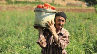 4 yıl önce bir avuçla başladı! Ücretsiz dağıttı