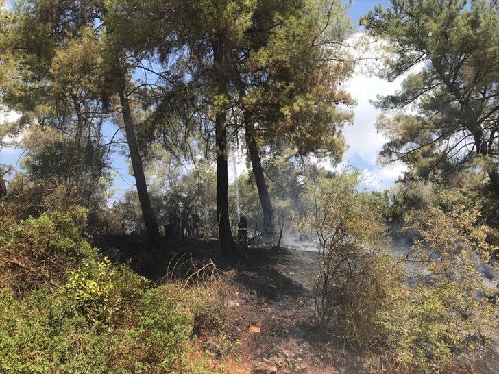 Antalya'da çıkan orman yangınları büyümeden söndürüldü G3