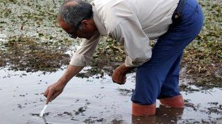 Bunlar da sülük hırsızı! Cezası binlerce lira ama yine de vazgeçmiyorlar 