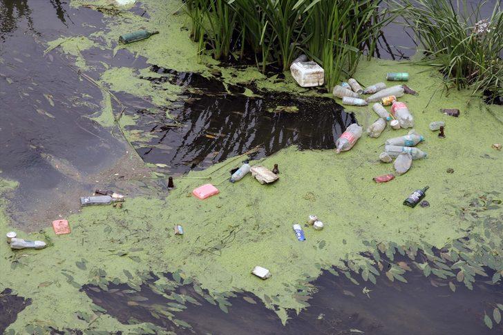 Tunca Nehri'ndeki kirlilik doğal yaşamı olumsuz etkiliyor G1