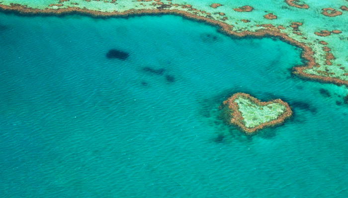 Sadece uzaktan izleyebiliyorlar! Ziyaret edilmesi tamamen yasak olan dünyanın en fotojenik bölgesi: Heart Reef