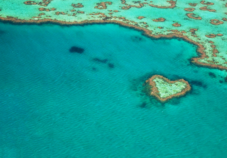 Sadece uzaktan izleyebiliyorlar! Ziyaret edilmesi tamamen yasak olan dünyanın en fotojenik bölgesi: Heart Reef