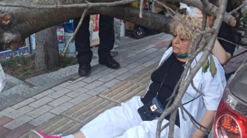 Bakırköy'de ağaç devrildi, dalın çarptığı kadın yaralandı! Öğrencilerin derste olması faciayı önledi