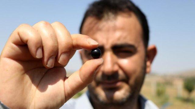 Eşi hastalanınca yetiştirdi: Kilosu 380 TL! Siparişlere yetişmek için mesleğini bıraktı